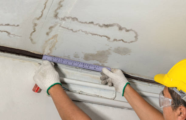 Reliable Water Damage Repair contractor in Roslindale, MA by Aqua Guard Water Damage